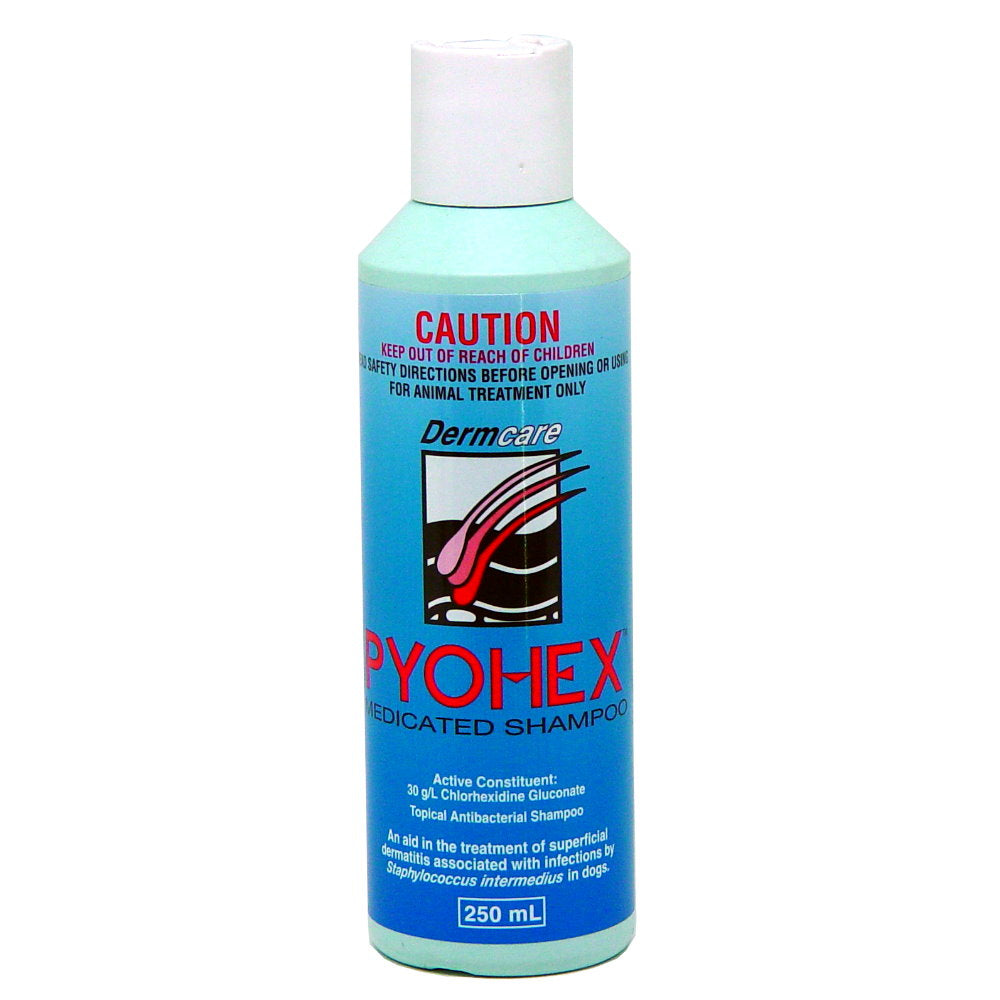 DERMCARE PYOHEX MEDICATED SHAMPOO 250ML