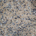 MP PREMIUM SMALL PARROT MIX 2KG