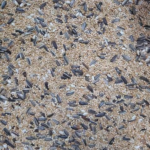 MP PREMIUM SMALL PARROT MIX 2KG