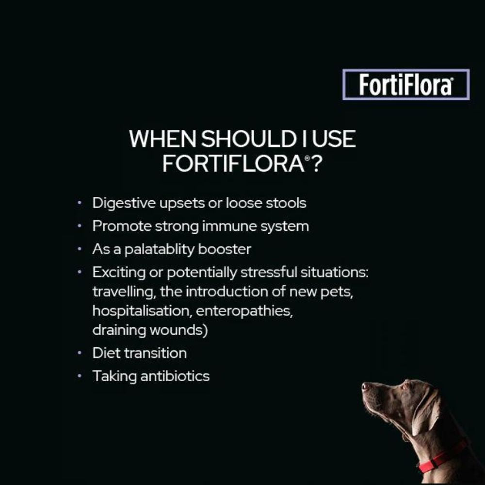 FORTIFLORA PURINA PRO PLAN 30 SACHETS