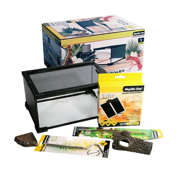 REPTILE ONE YOUR FIRST HATCHLING KIT