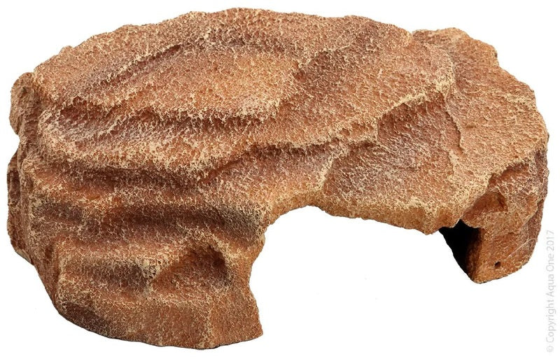 REPTILE ONE SHALLOW CAVE