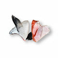 RIGHT START SALMON WINGS 4PK FROZEN