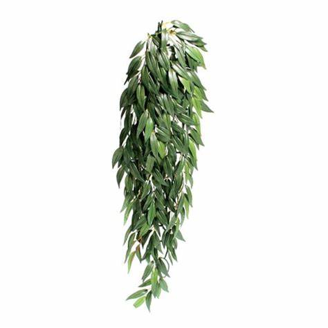 EXO TERRA JUNGLE PLANT RUSCUS LARGE