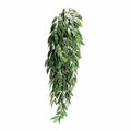 EXO TERRA JUNGLE PLANT RUSCUS SMALL