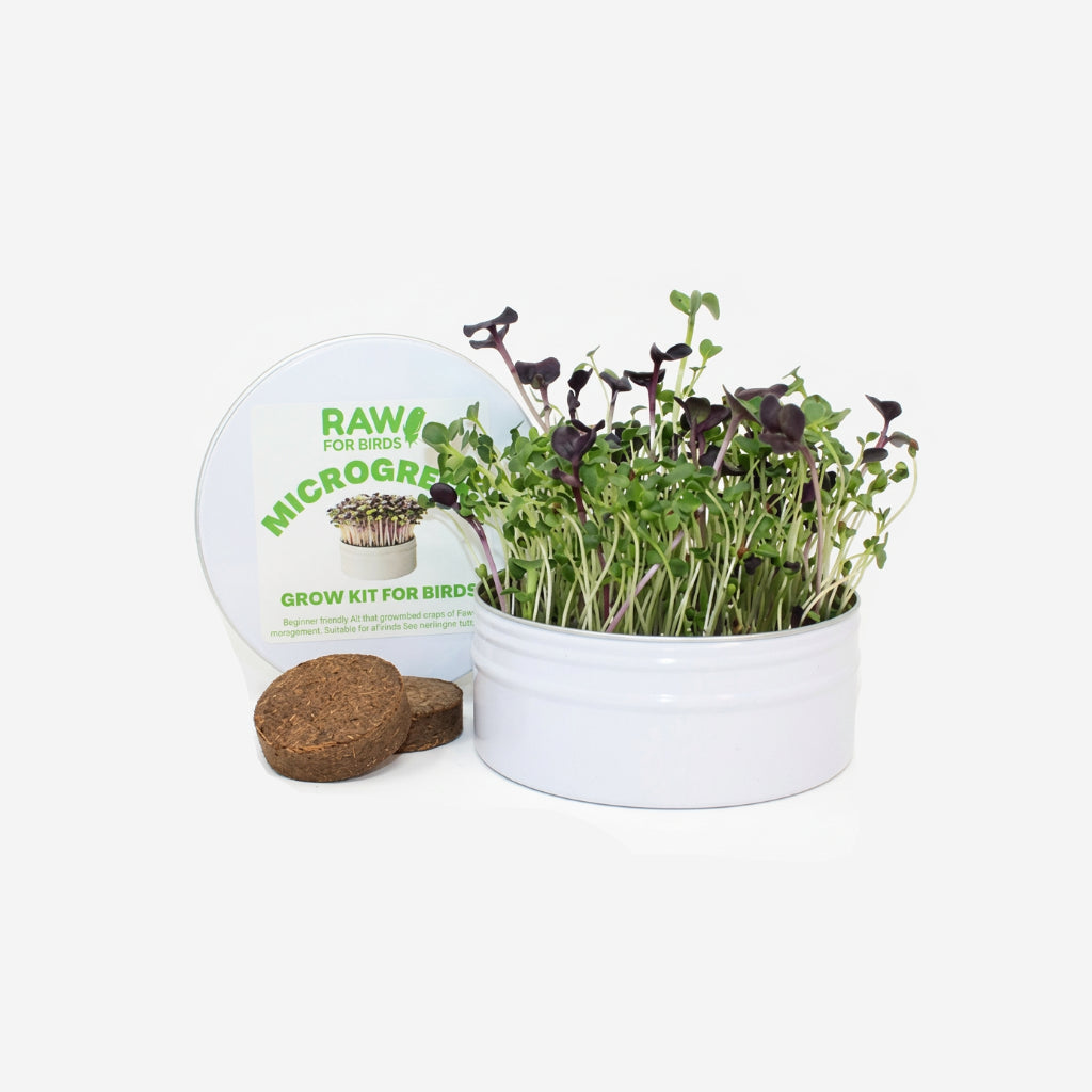 RAW FOR BIRDS MIXED MICRO GREENS GROWER KIT