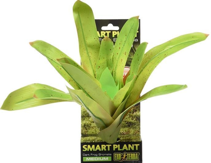 EXO TERRA SMART PLANT DART FROG BROMELIA MEDIUM