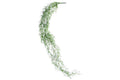 REPTILE ONE HANGING SPANISH MOSS 40CM