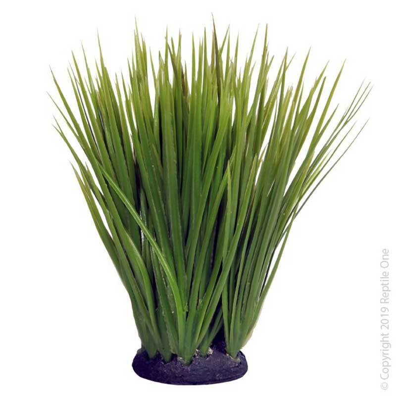 REPTILE ONE SPINIFEX GREEN WITH RESIN BASE