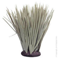 REPTILE ONE SPINIFEX GREY WITH RESIN BASE