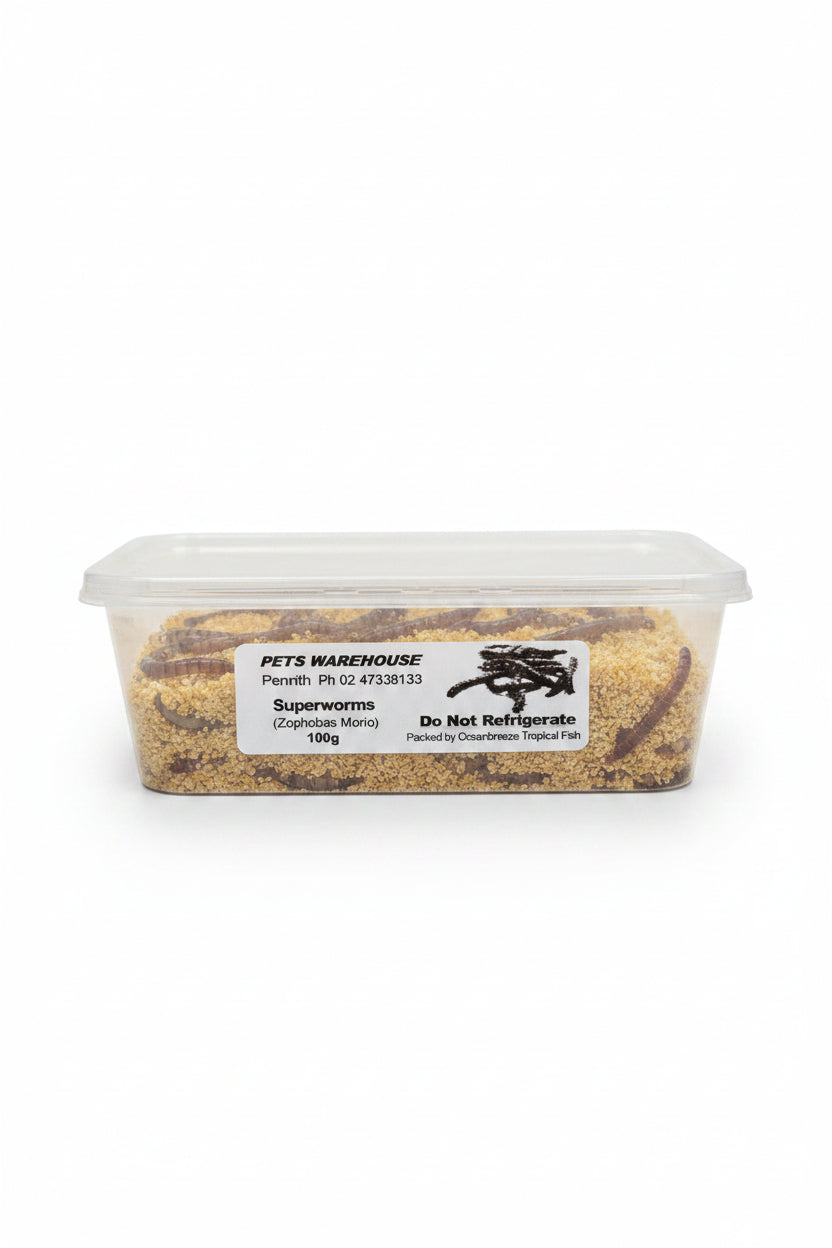 SUPERWORMS CONTAINER STANDARD