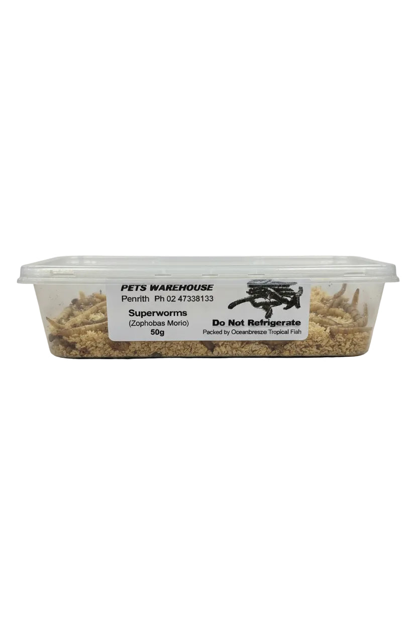 SUPERWORMS CONTAINER STANDARD
