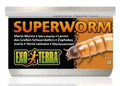 EXO TERRA SUPERWORMS 34G