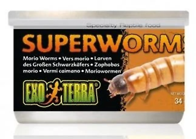 EXO TERRA SUPERWORMS 34G