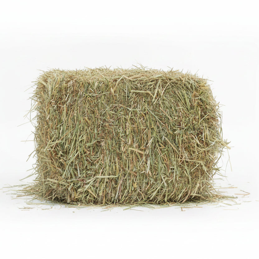 MERRYLANDS PRODUCE SMALL ANIMAL OATEN HAY BALE