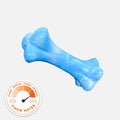 HAPPY STAFFY CO CHEWZILLA MUSICAL BONE CHEW TOY