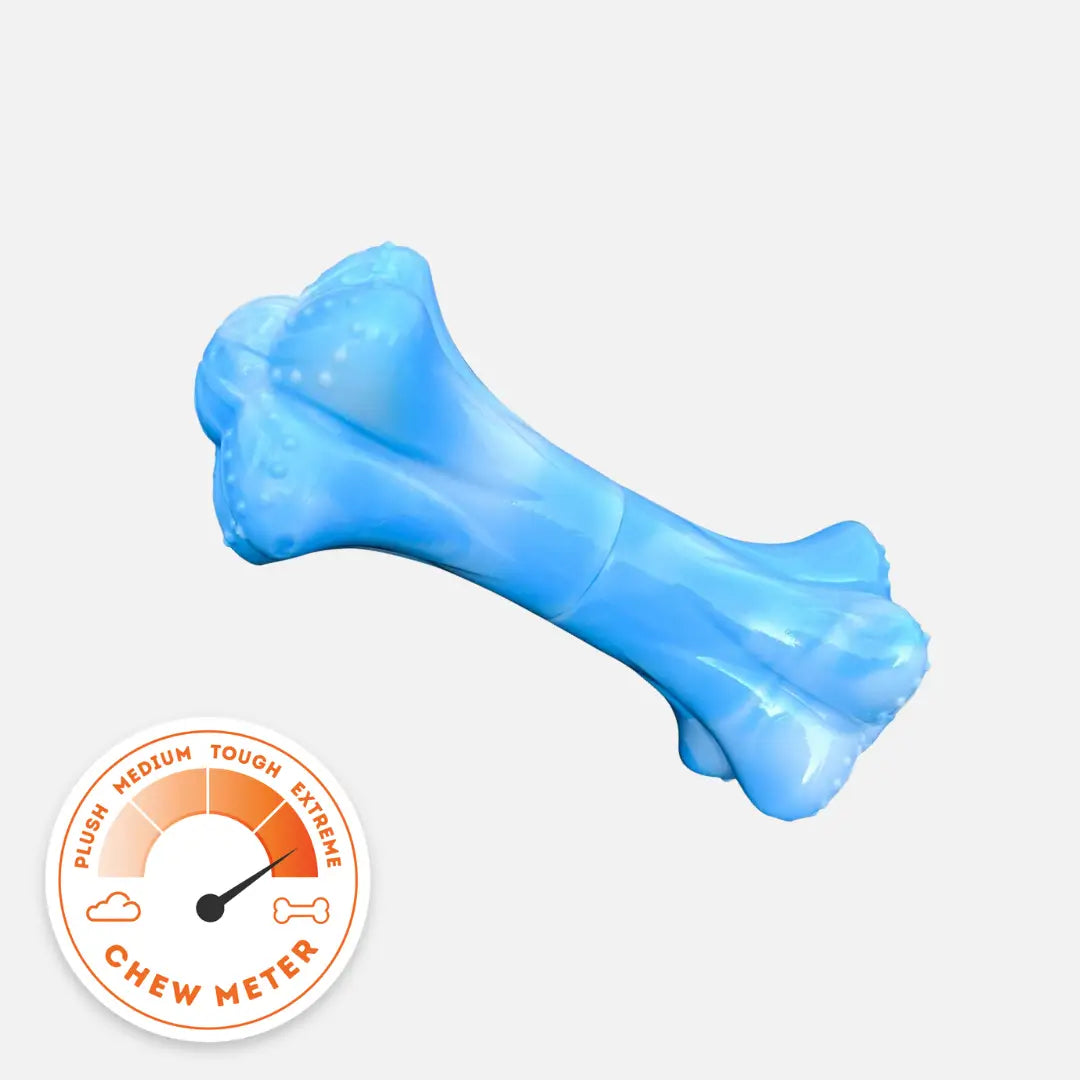 HAPPY STAFFY CO CHEWZILLA MUSICAL BONE CHEW TOY