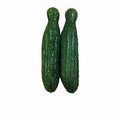 VEGGIE PATCH NIBBLERS CUCUMBERS 2 PACK