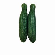 VEGGIE PATCH NIBBLERS CUCUMBERS 2 PACK