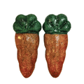 VEGGIE PATCH NIBBLERS CARROT 2 PACK