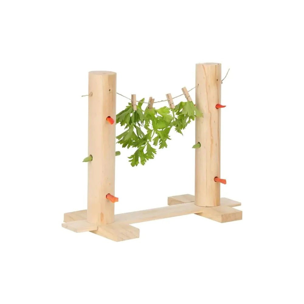 VEGGIE PATCH PEG N SNACK LINE LARGE