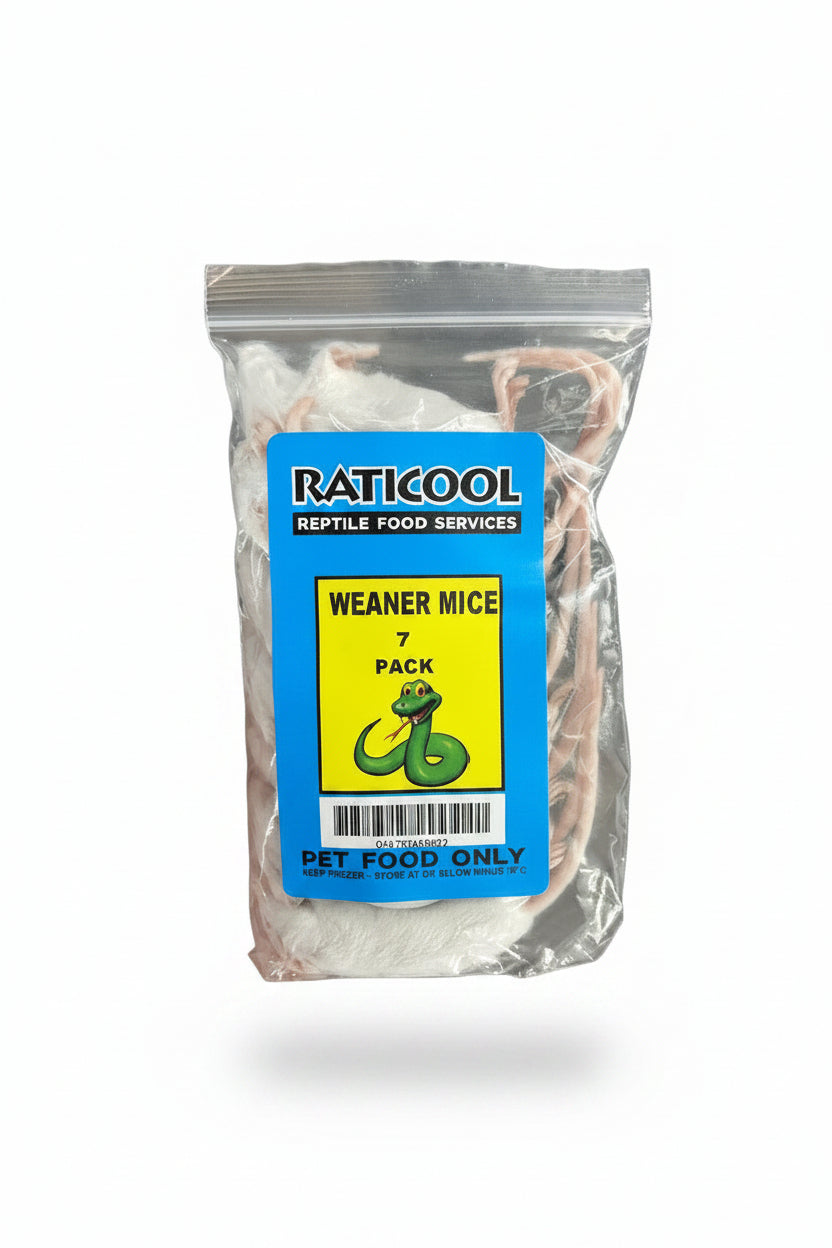 RATICOOL WEANER MICE 7 PACK