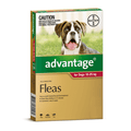 ADVANTAGE DOG 10-25KG 4 PACK