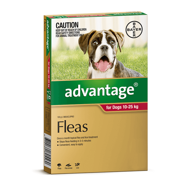 ADVANTAGE DOG 10-25KG 4 PACK