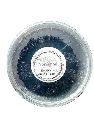 SPRINGTAILS CONTAINER 100PK