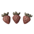 Small Animal Strawberry Treats 3Pk
