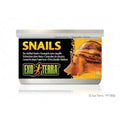 EXO TERRA SNAILS 48G