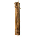 BAINBRIDGE BIRD & SMALL ANIMAL CHEW WILLOW BUNDLE