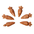 SMALL ANIMAL CARROT TREATS 6PK