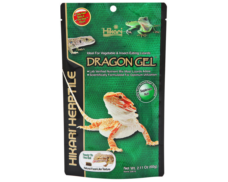 HIKARI DRAGON GEL MAINTENANCE DIET 60G