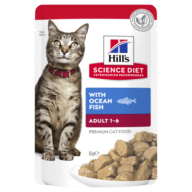 SCIENCE DIET CAT OCEAN FISH 85G X 12
