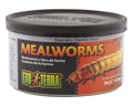 EXO TERRA MEALWORMS 34G