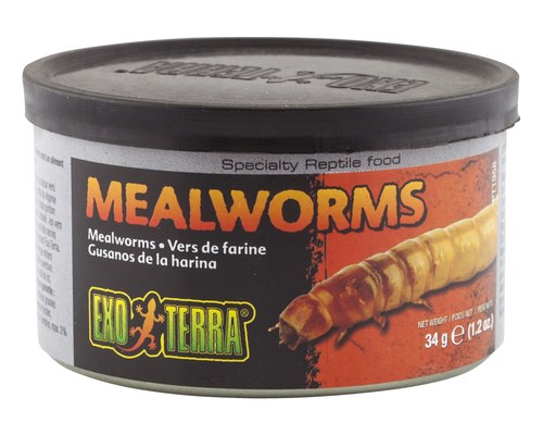 EXO TERRA MEALWORMS 34G
