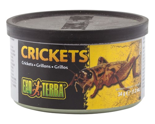 EXO TERRA CRICKETS 34G