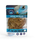 JURASSIC NATURALS PRESERVED MEALWORMS