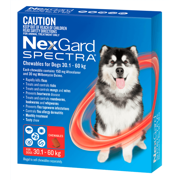 NEXGARD SPECTRA 30.1-60KG 6 PACK