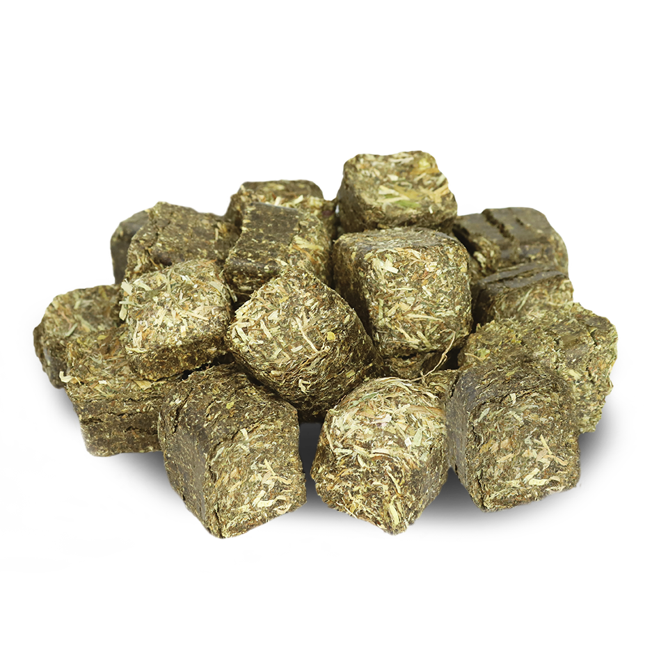 SMALL ANIMAL PASTURE HAY CUBE TREATS
