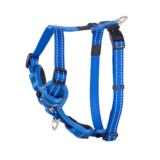 ROGZ CONTROL HARNESS LRG BLUE 45-75CM