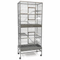 DOUBLE BIRD CAGE 0497 BLACK VEIN