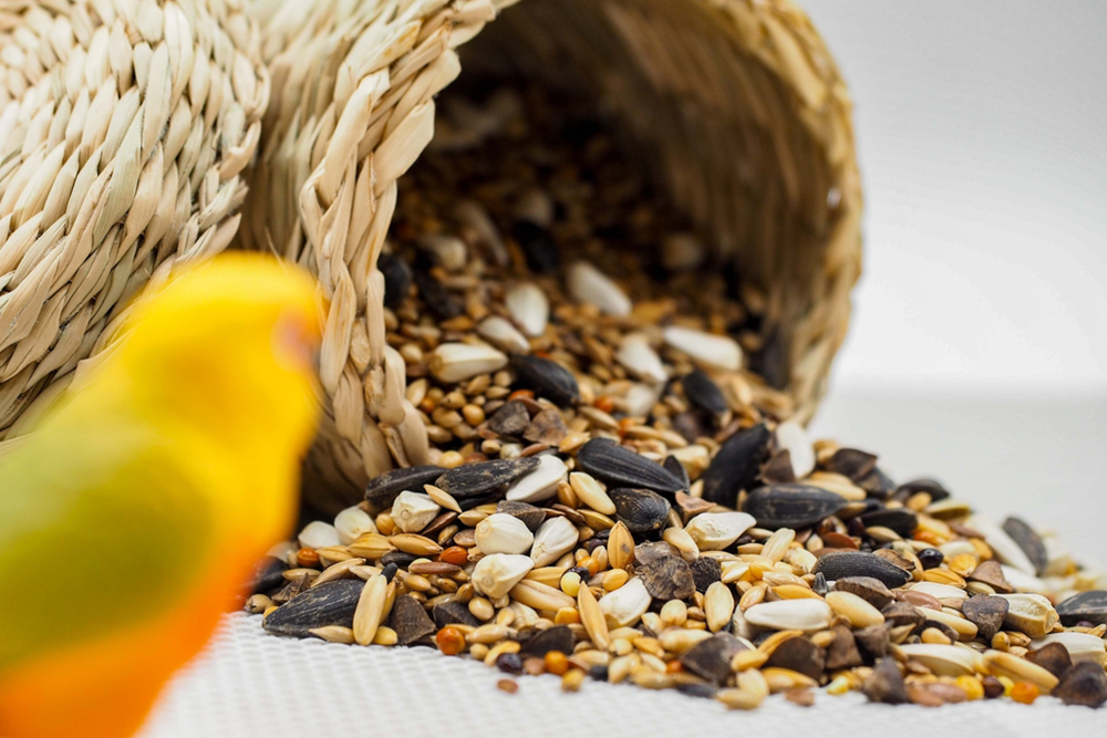 Pets Warehouse Penrith offers bird pet supplies, food, cages and toys.