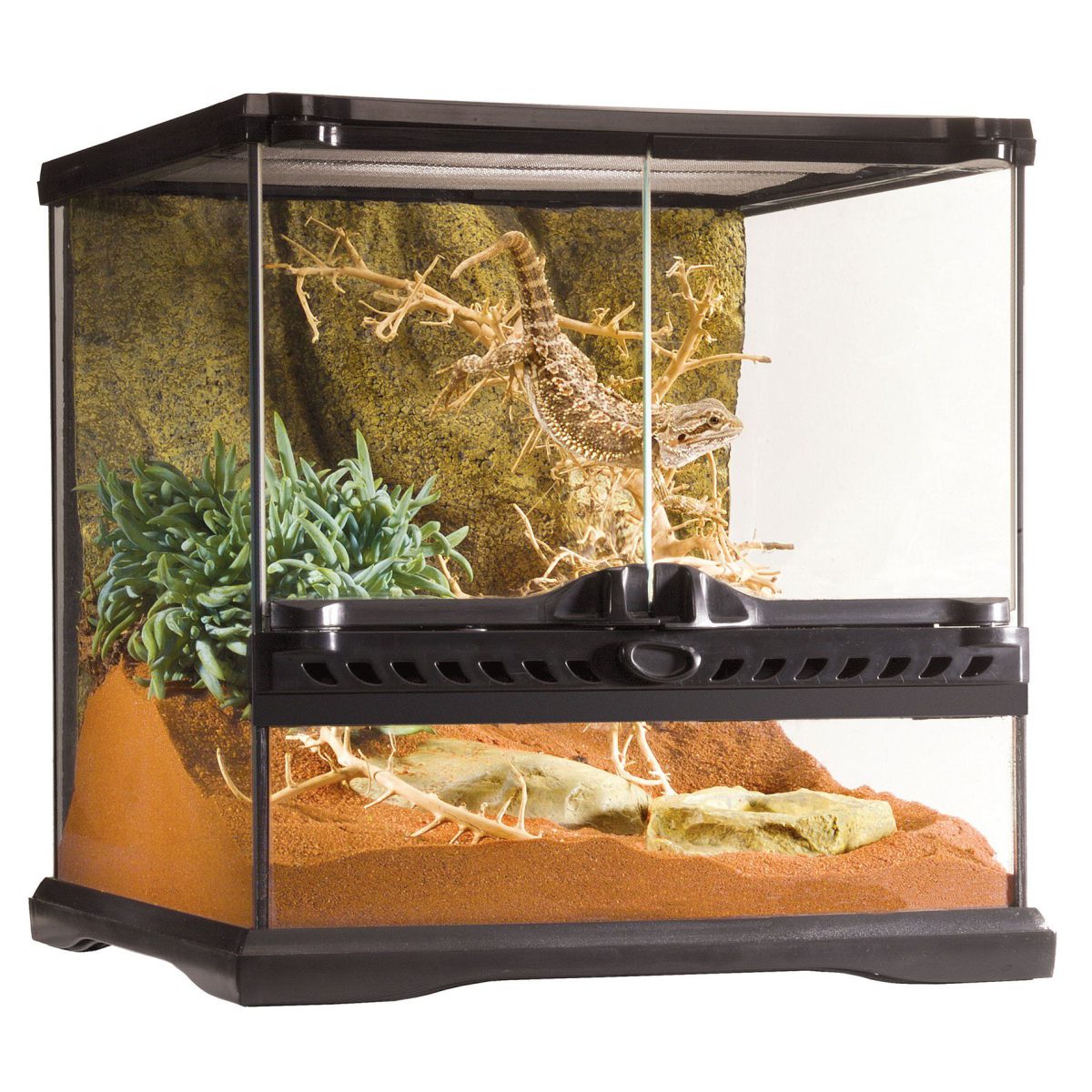 Reptile Aquarium & Terrariums/Stands Penrith, Australia