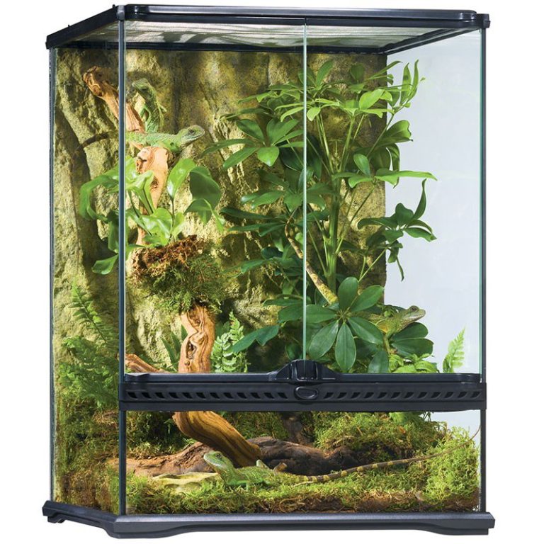 Reptile Aquarium & Terrariums/Stands Penrith, Australia
