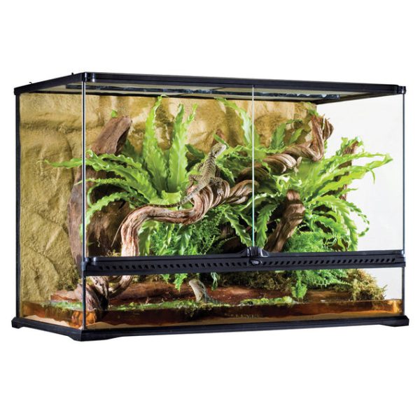 Reptile Aquarium & Terrariums/Stands Penrith, Australia