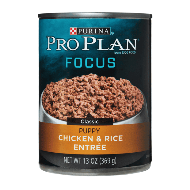 pro plan focus puppy chicken