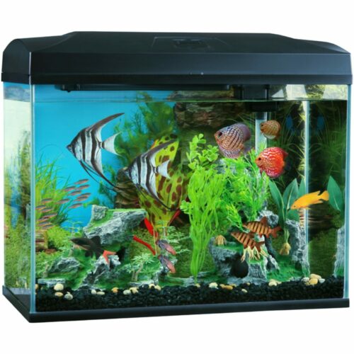 BLUE PLANET CLASSIC 50 TANK