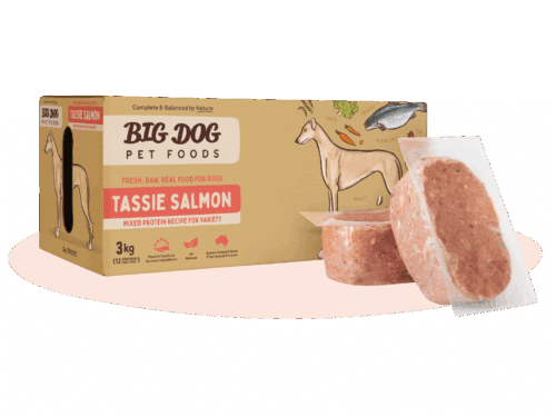 BIG DOG TASMANIAN SALMON PATTIES 3KG